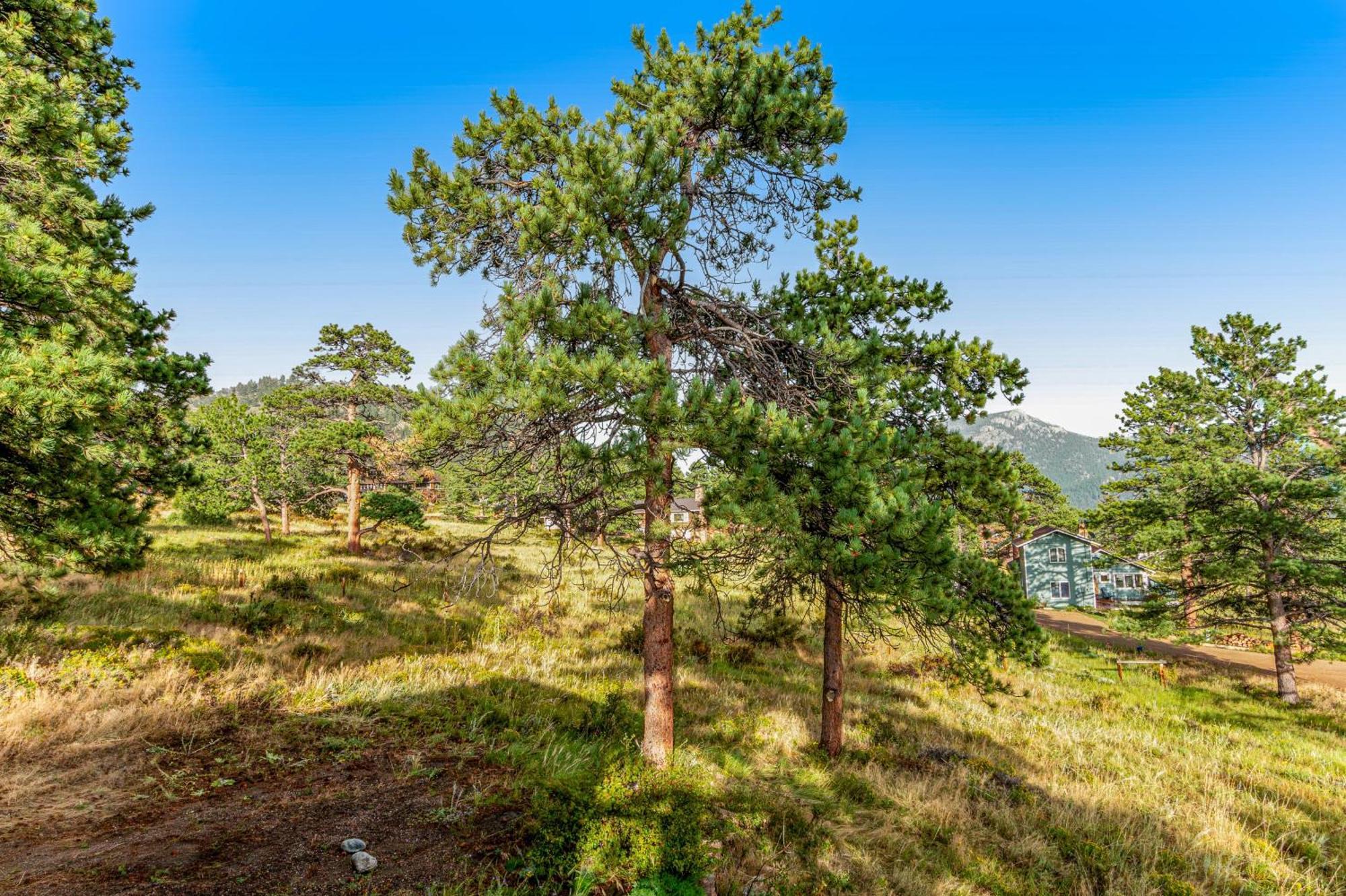 Deer Mountain Lodge South استيس بارك المظهر الخارجي الصورة